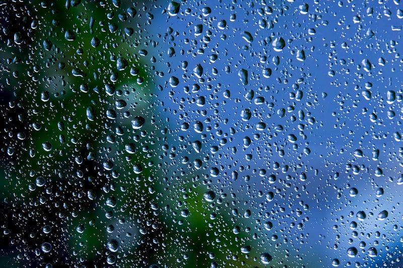 Installer un système d'irrigation goutte à goutte pour votre potager en 2026 : guide pratique